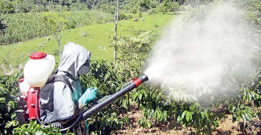 Lanzan campaña contra el uso de plaguicidas en los alimentos