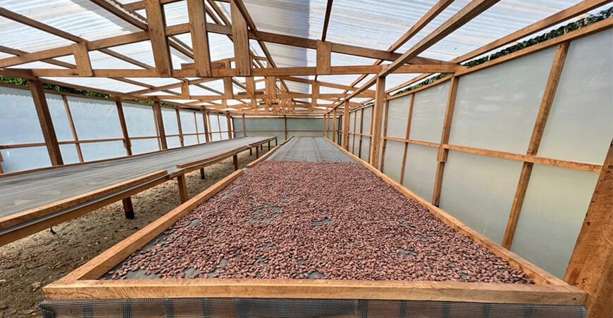 inauguran primera planta procesadora de cacao y copoazú