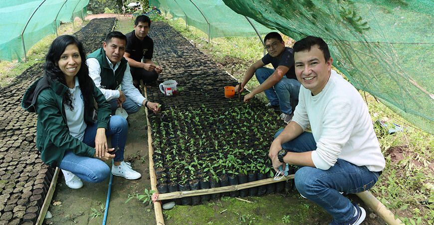 plantones forestales y frutales Cajamarca