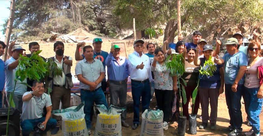 plantones de palta Hass y fertilizantes GORE Lima