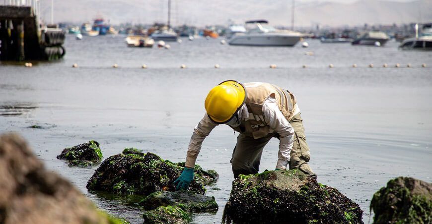 Diez playas afectadas por derrame de petróleo de Repsol aún registran presencia de hidrocarburos