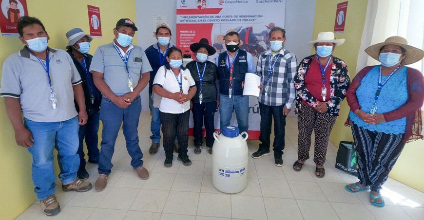 Tacna: instalarán posta de inseminación artificial pecuaria
