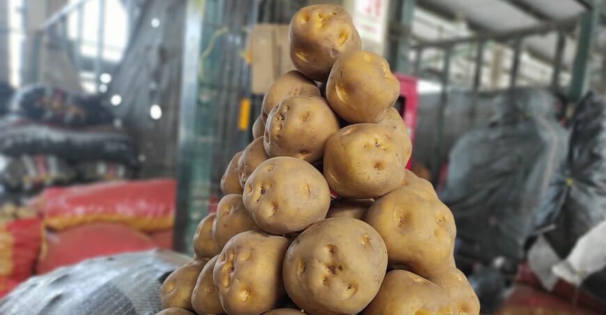 precio papa amarilla Perú