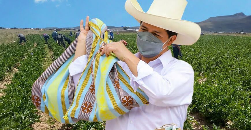 Lo que debe hacer Castillo para reactivar el agro