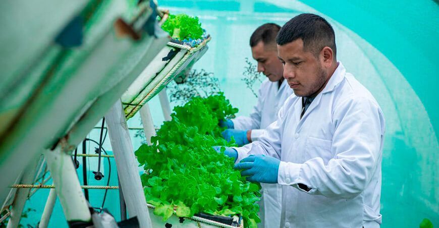 UNTRM inicia el primer doctorado en genética y mejoramiento genético de plantas del Perú