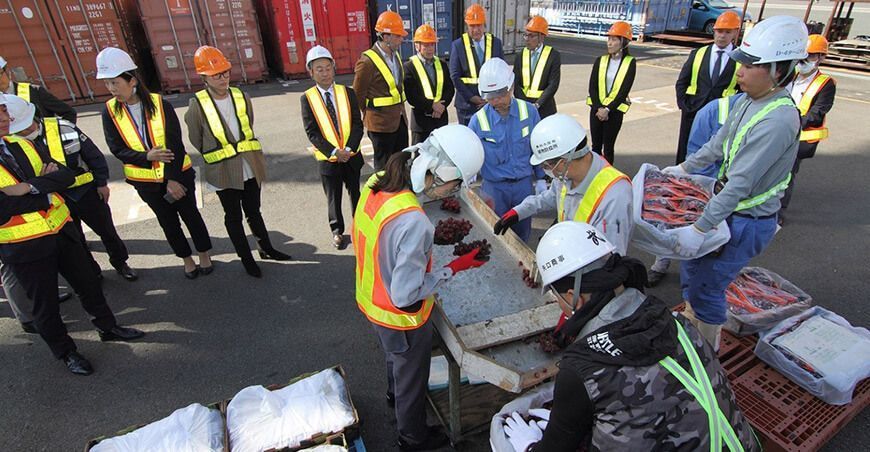 Uvas peruanas llegan por primera vez a Japón