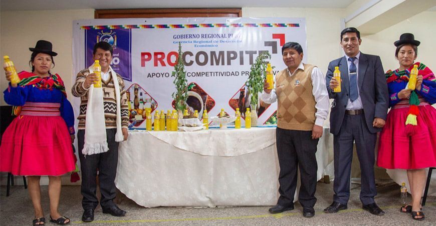 Procompite Puno