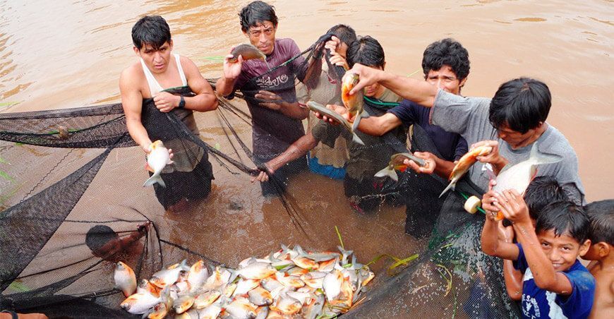 productores acuícolas Amazónicos