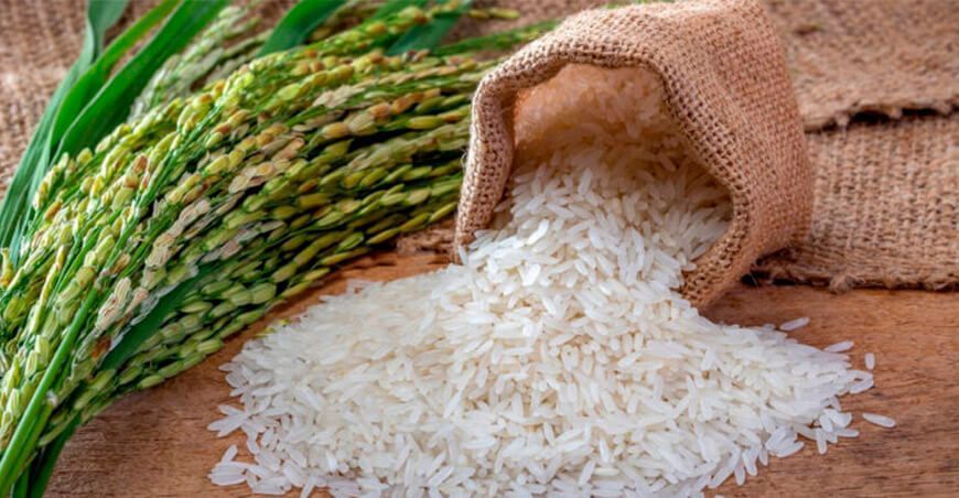 producción de arroz Perú