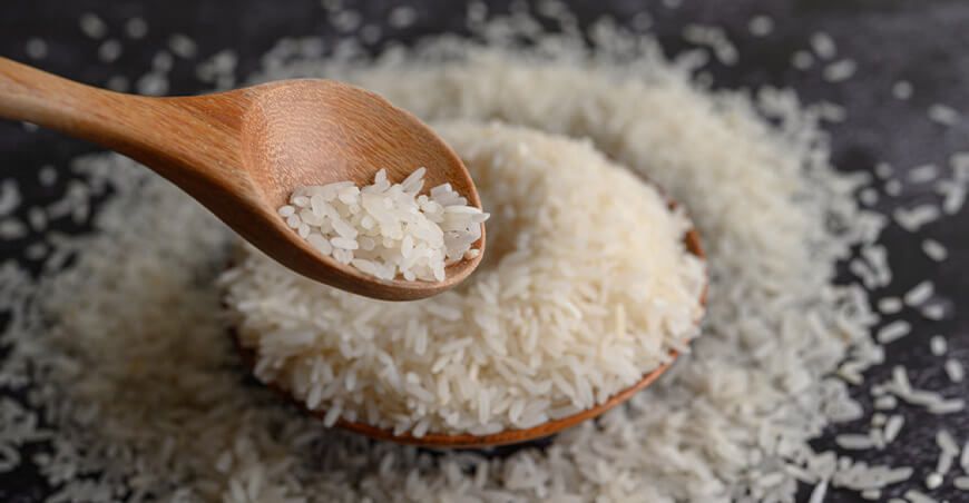 producción de arroz