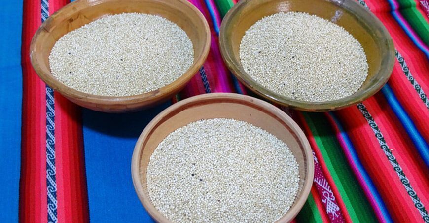 producción de quinua Perú