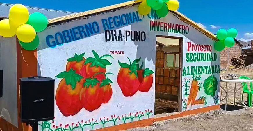 Impulsan producción de hortalizas y crianza de animales menores en Pomata Puno Perú