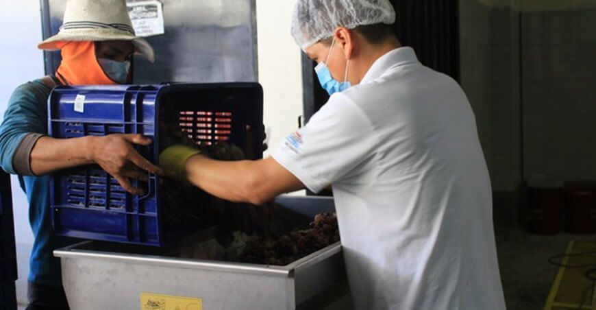 Más de 150 mipymes agroindustriales fortalecerán la producción de vinos y destilados