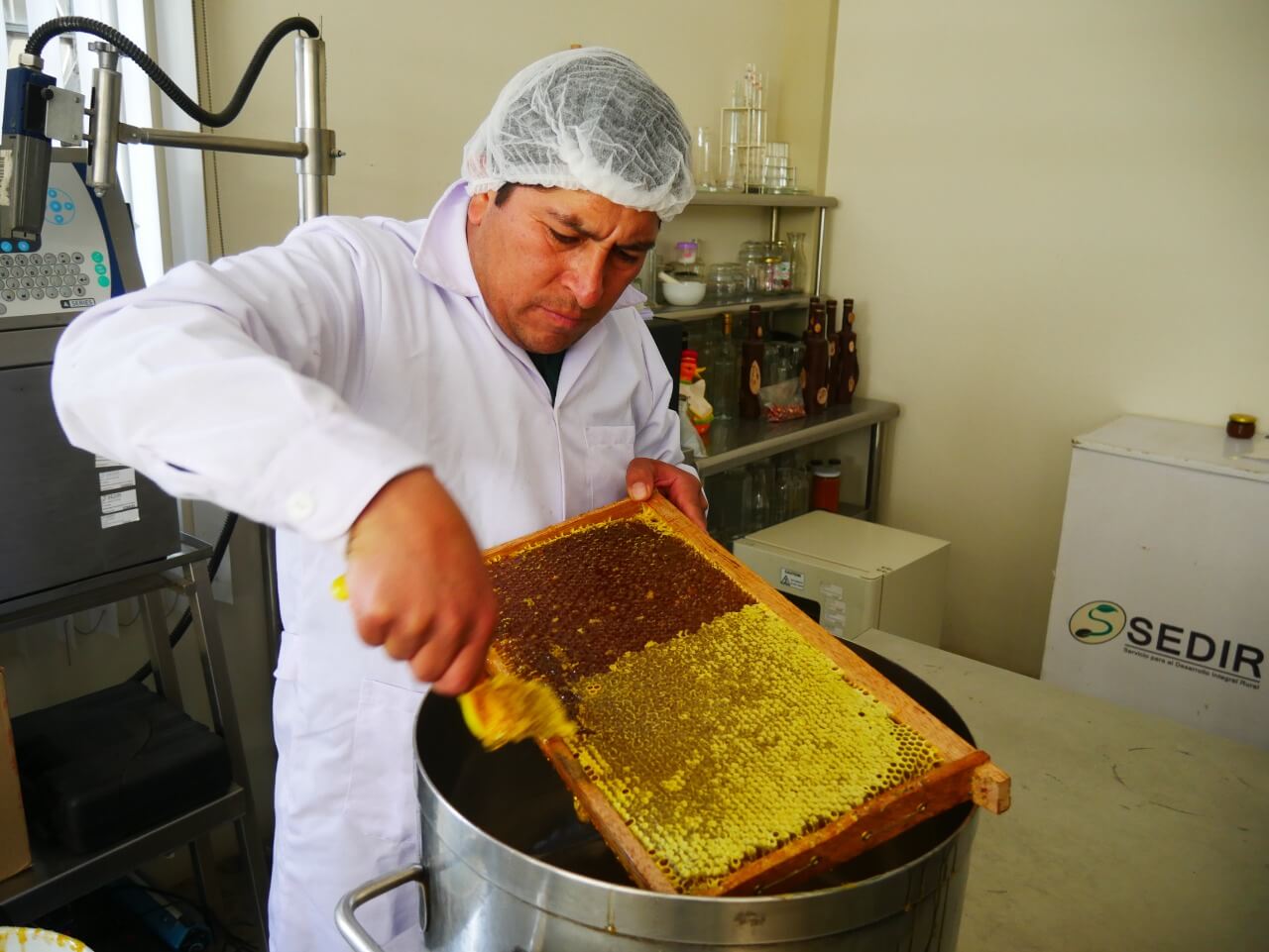 apicultura producción de miel Áncash