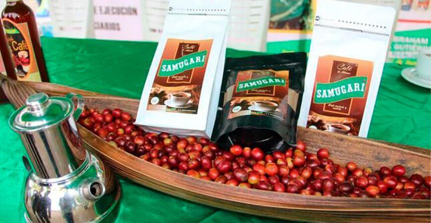 producción y venta de café Ayacucho Perú