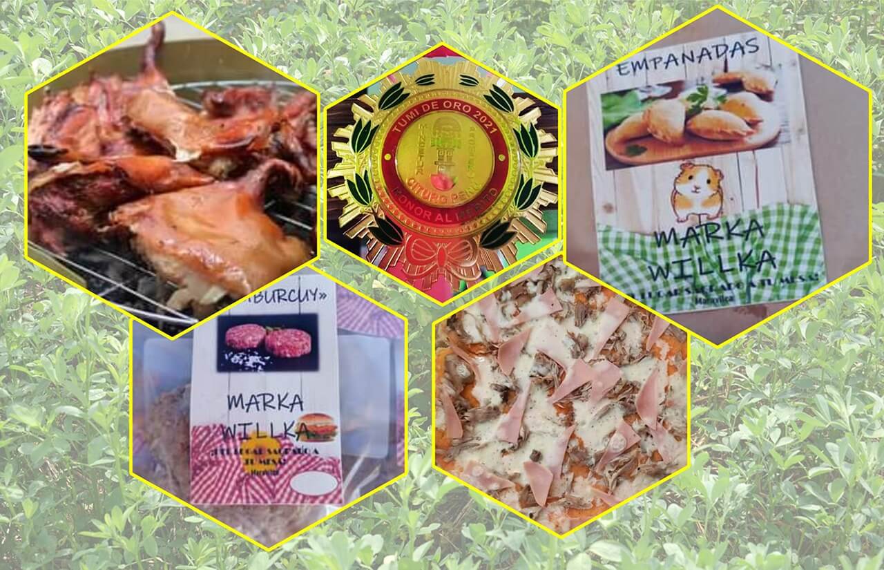 producción de cuyes y sus derivado del valle el Mantaro