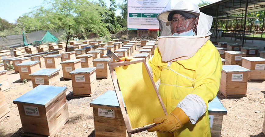 productor apícola Perú