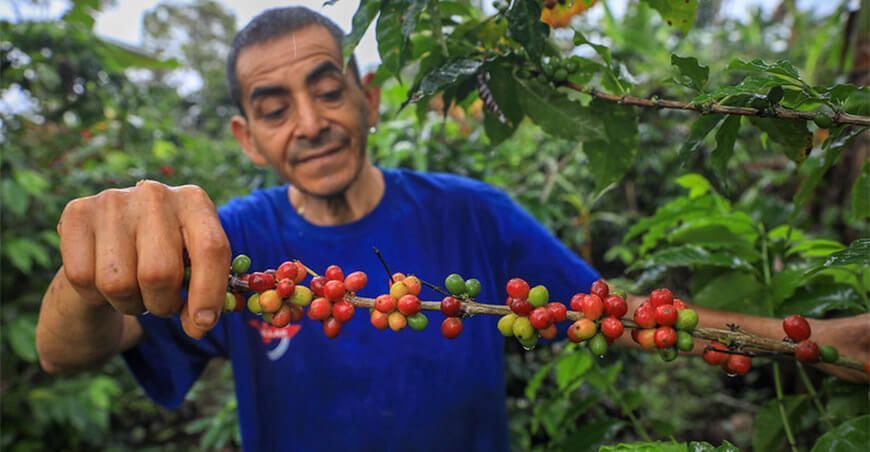 productor de café Perú