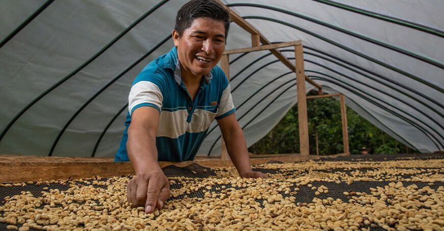 Devida fortalece actividades productivas de productores de café secado granos Junín Perú