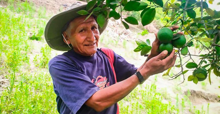 productores de limón Vraem Perú