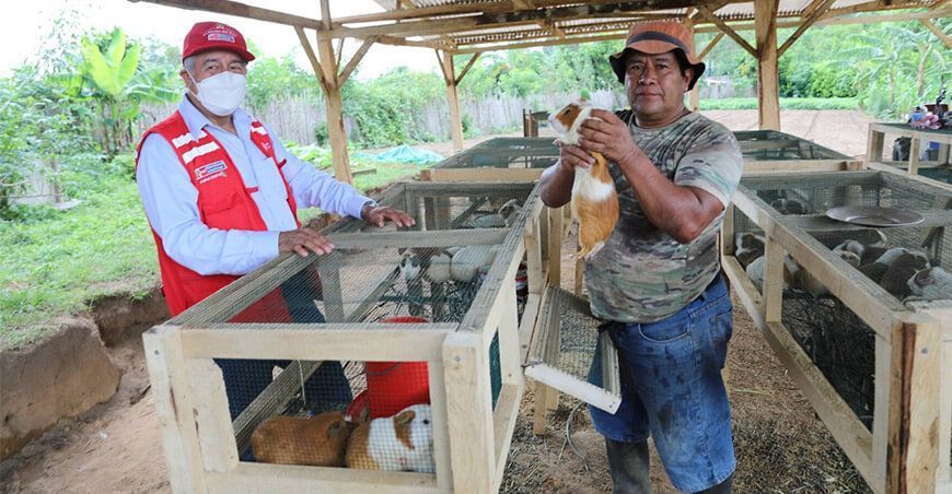 productores de cuy Foncodes