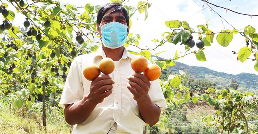 productor granadilla Huánuco Perú