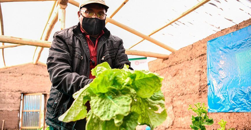 productores de hortalizas de zonas altoandinas