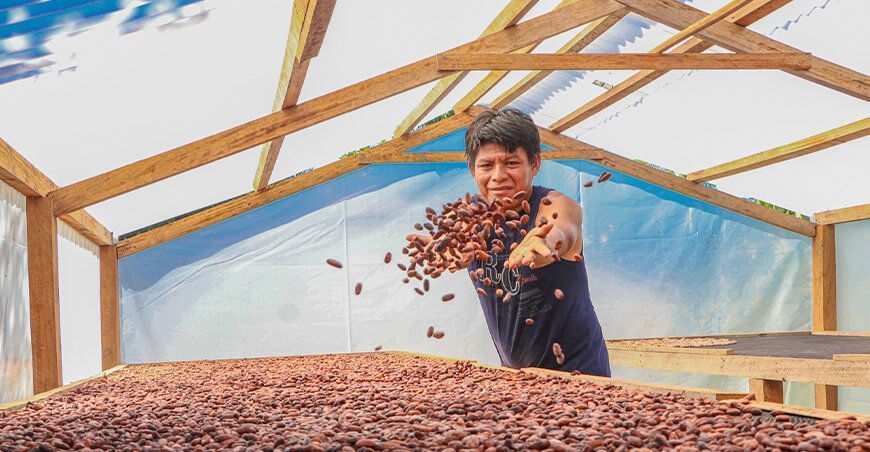 productor secado cacao grano Junín Perú