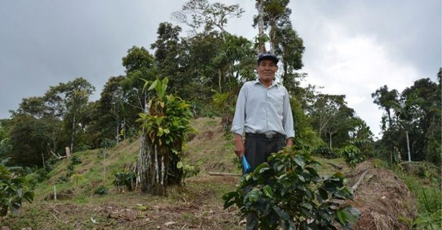 productor sistemas agroforestales Perú