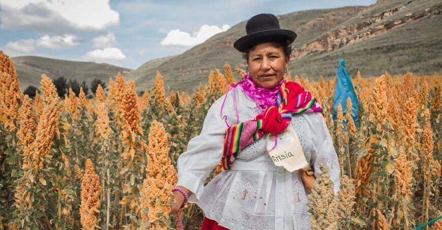 productora de quinua Perú