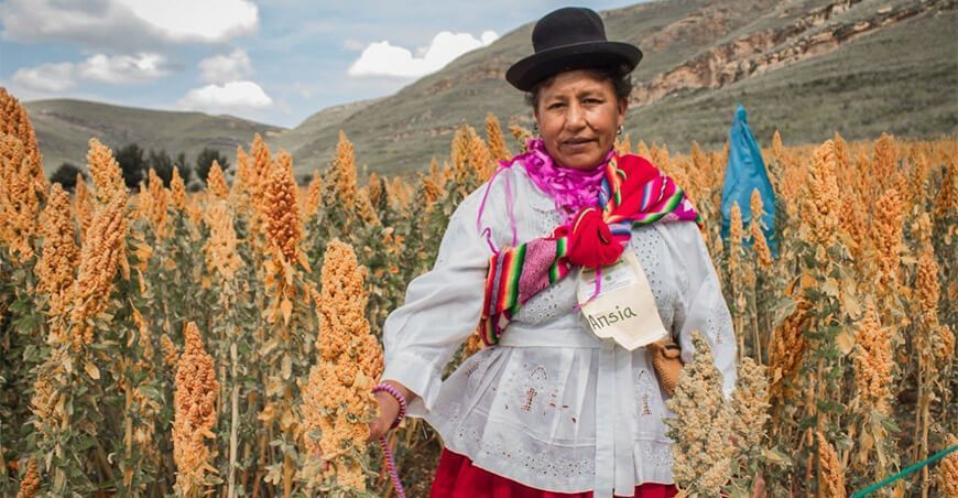 productora de quinua Perú