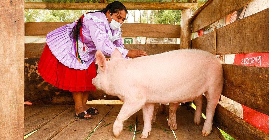 Productores se gradúan como expertos en buenas prácticas agropecuarias