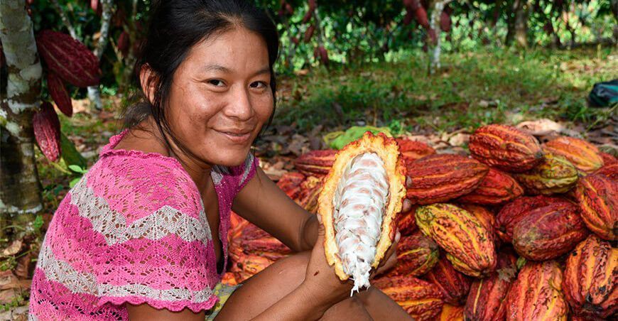 productora de cultivo de cacao Perú