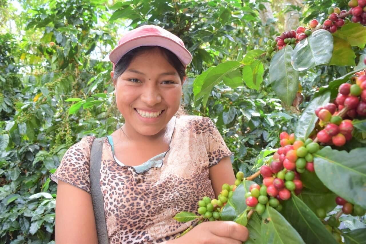 productora de café Perú