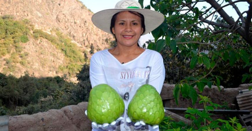 productora de chirimoya Huarochirí