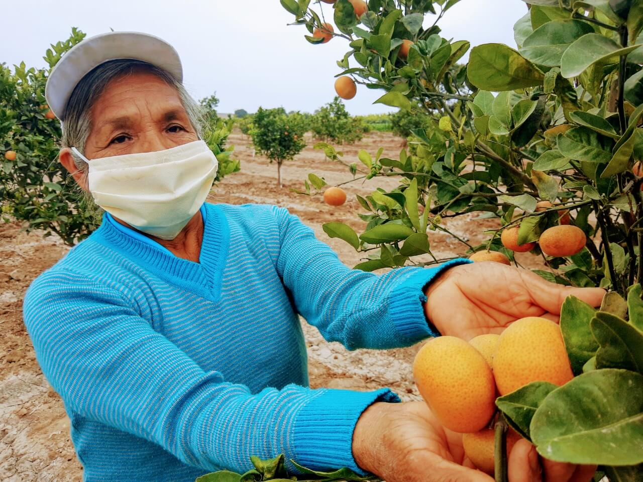 Productora peruana de cítricos