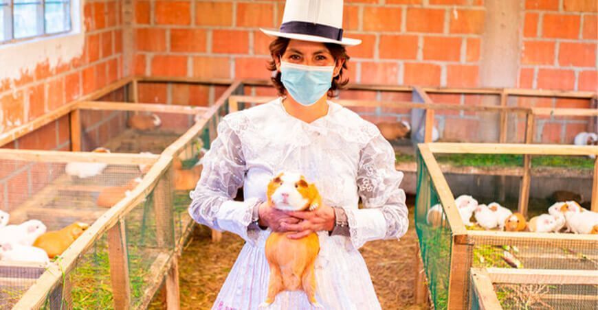 productora de cuy Perú