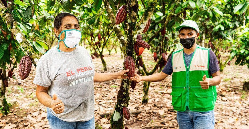 productora de cultivo de cacao Perú