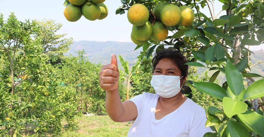 productora de cítricos de Perú
