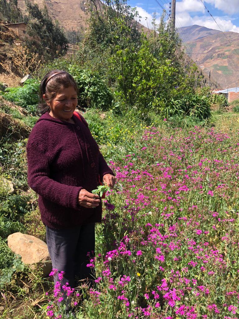 productora de flores de Tarma, Perú