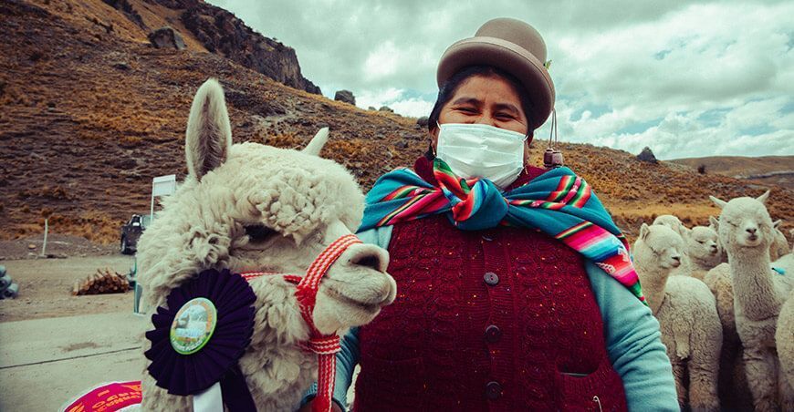 productora de alpacas Perú
