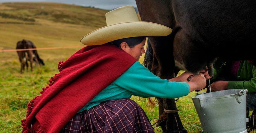 productoras ganadera lechera producción láctea