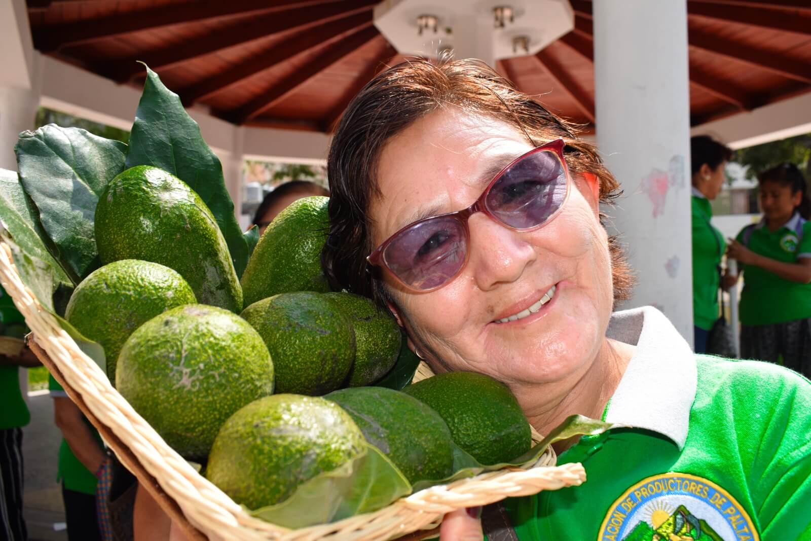 Productora de palta fuerte Lima