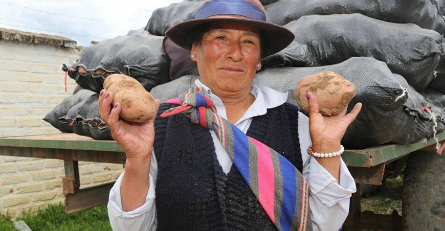 Productora de papa de Perú