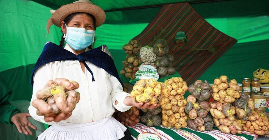 Junín: Entregan certificado del Sistema de Garantía Participativo a productores agroecológicos