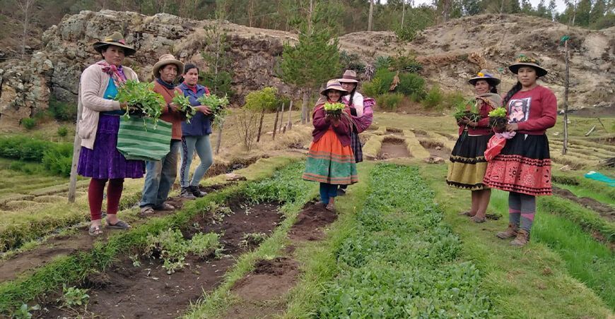 productoras agricultores de hierbas aromáticas