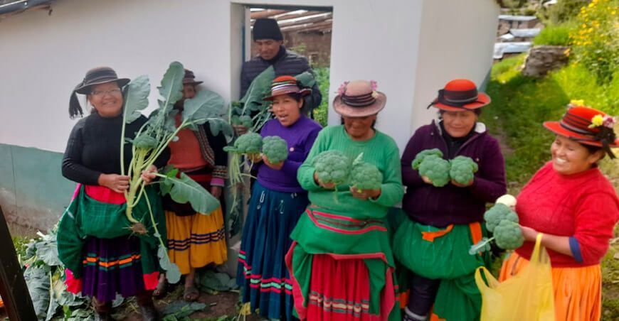 productoras de hortalizas Moquegua