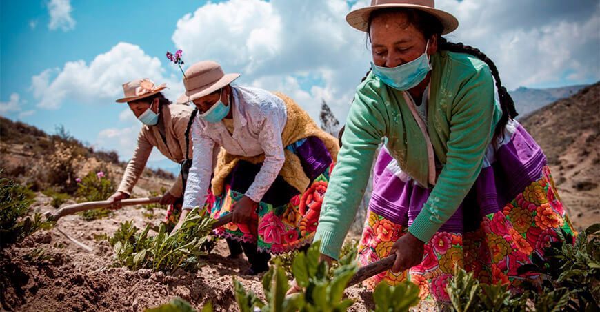 agricultoras peruanas