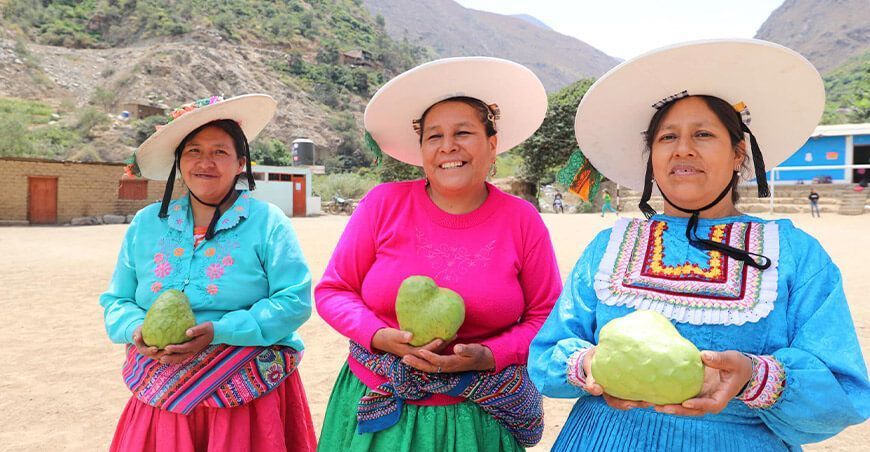 productoras de chirimoya Perú