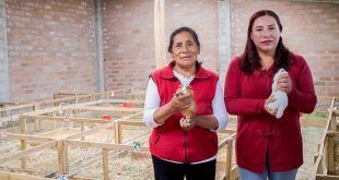 productoras de cuyes Junín Perú
